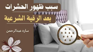النمل الاسود والحشرات في المنزل بعد الرقية الشرعية  يكثر ظهورهم وهذا هو السبب   دندنها
