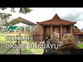Lagu Sejarah Candi Bumiayu Tanah Abang, Sumatera Selatan| Mata Pali