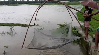 Jal Diye Mach Dhora Amazing Fishing 
