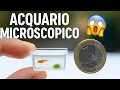 Download Lagu The SMALLEST AQUARIUM in the WORLD!