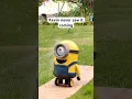 Download Lagu Minions gets sniped