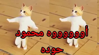 اغنية باسم محمود عيد ميلاد محمود اول تعليق السعودية الكويت تركيا العراق قطر الجزائر جده دبي الرياض 