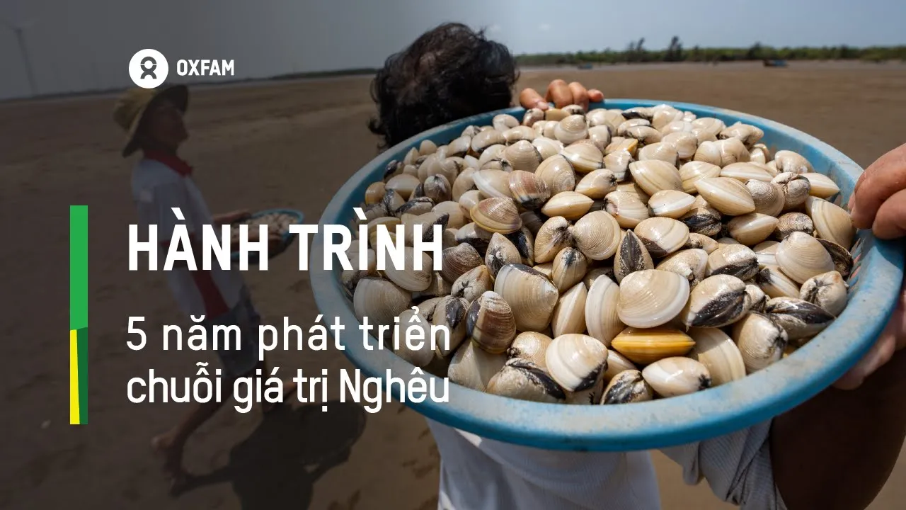 Outline Video Hành trình 5 năm phát triển chuỗi giá trị Nghêu - Dự án (SCBV)