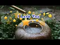 [TJ노래방] I Love You - 2NE1 / TJ Karaoke