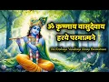 Download Lagu Radha Krishna Bhakti Mantra🌿 | ॐ कृष्णाय वासुदेवाय  Om Krishnaya Vasudevaya Haraye Paramatmane
