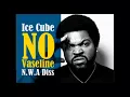 Download Lagu Ice Cube - No Vaseline
