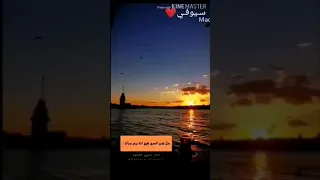 فنان غير معروف 