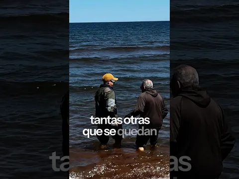 “Familias separadas” se estrena este viernes🍂🍂🍂