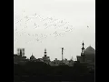 Intifada (Instrumental)