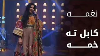 پیپسی ساز و سرود   نغمه   کابل ته ځمه                                                  دندنها