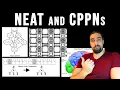 NeuroEvolution of Augmenting Topologies NEAT and Compositional Pattern Producing Networks CPPN