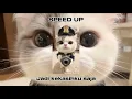 Download Lagu playlist salting+baper 😺🩷 ( speed up )