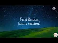 JKT48 - First Rabbit Lyrics video Male version