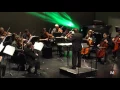 Karl Jensink - Palladio