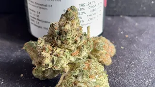 Snowball S1 Review