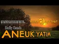 Download Lagu [instrumental] RAFLY - ANEUK YATIM musik by @adiergetthat