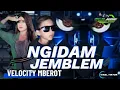 Download Lagu DJ NGIDAM JEMBLEM ‼️ VELOCITY MBEROT 🔥😎