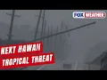 Hawaii Faces Second Rare Tropical Threat As Future Tropical Storm Moke Approaches