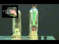 How does a compass work Force on a charged particle