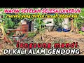 Download Lagu KALI ALAM GENDONG SELESAI , LANJUT KALI BERIKUTNYA GAK KALAH PARAH JUGA TAK PERNAH DIKERUK 🤦‍♂️
