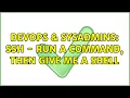 DevOps SysAdmins SSH - Run a command then give me a shell 4 Solutions