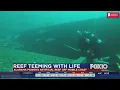 Alabama Power boilers used for reef