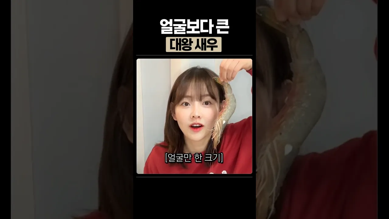 이런 새우 처음 봄ㅋㅋ 얼굴보다 큼;;