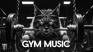 BEST GYM MUSIC 2025 FITNESS GYM WORKOUT MUSIC WORKOUT MOTIVATION MUSIC 2025 290 