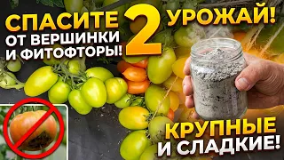2 подкормки от вершинной гнили, фитофторы и на налив и сладость плодов