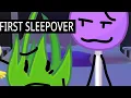 BFDI Grassy s First Sleepover