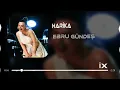 Ebru Gündeş - Harika ( Ferhat Güneş Remix )