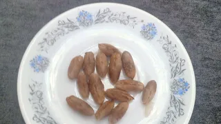                                                                                                      دندنها