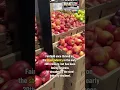 Fairfield s first grocery store in nearly a decade now open