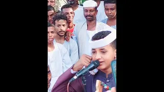 الامين الهادي الرفاعي 