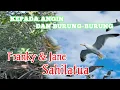Download Lagu Kepada Angin dan Burung-Burung #franky\u0026jane
