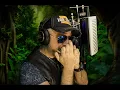 Download Lagu The Lion King - Cover Disney - Circle Of Life -  ' Harmonica David Jacomino - Hohner Harmonica