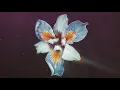 Tor - Crossing (Official Audio)