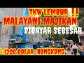 Download Lagu TKW LEMBUR‼️MELAYANI MAJIKAN DIBAYAR  SEBESAR ＄1200 DOLAR HONGKONG#hoshiclovervlog