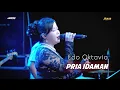 Lagu Pria Idaman - Edo Oktavia | AKASS MUSIC | MITRA PRO | LIVE in BRINGIN KULON