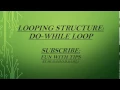 Part 14 Looping structure do-while loop beginners
