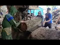 Download Lagu SUPER MANTAP BAHAN BESAR KAYU PINUS POTONG PAPAN 