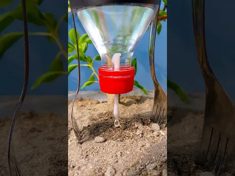 WATERING Hacks To Save Your Plants 🌵