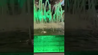 نافورة مياه ألوان مختلفة 