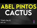Abel Pintos - Cactus - Karaoke Instrumental - Bajo