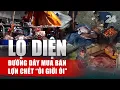 Download Lagu Lộ diện đường dây mua bán lợn chết “ôi giời ôi” | VTV24