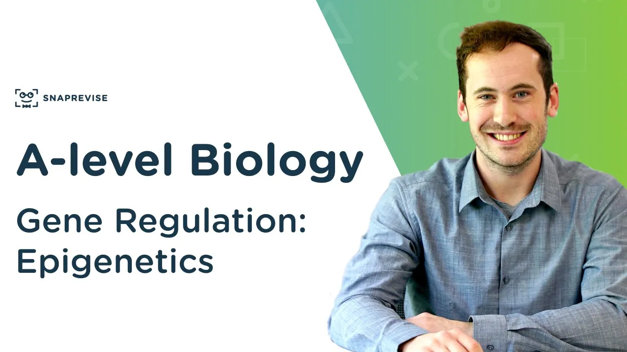 Gene Regulation: Epigenetics | A-level Biology | OCR, AQA, Edexcel