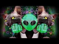 Download Lagu TIMMS Itsy Bitsy Lyric Video