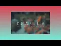 Kranium ft. Ty Dolla Sign & Wizkid ~ Can't Believe