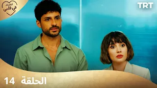 مسلسل أخفيتك فى قلبي الحلقة 14 