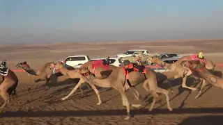 الشوط 5 وعد للسيد مكتوم راشد حفيظ المزروعي توقيت 9 51 90 